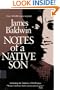 Notes of a Native Son