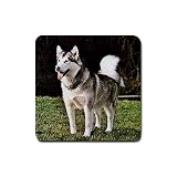 Alaskan Malamute Rubber Square Coaster (4 pack)