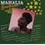 The Christmas Songs