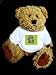 Teddy Bear with protective gear, ancient, metal, helmet, armour, europe, armor, cast, denmark, shield, antique t-shirt