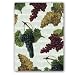 Congratulations with Botanical Grapes - 5" x 7" Vellum Overlay Greeting Card