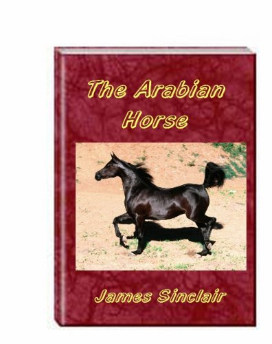 The Arabian Horse