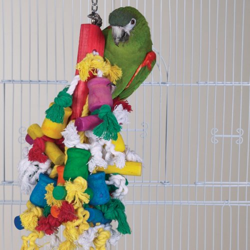 MADCAP - Brainy Bird Wild Series Toys