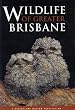 Wildlife of Greater Brisbane