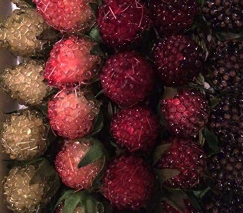 Beaded Berries Floral Accessories - Set of 5