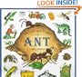 The Life and Times of the Ant