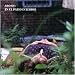 Aroah - En El Patio Interior (Ep) [Single CD] [Orden Especial]