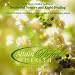 Rapid Healing and Recovery Meditation con Download MP3 per nominativo: 51MevxPTpsL._SL75_