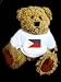 Teddy Bear with Philippines t-shirt