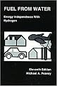 Fuel from Water (Energy Independence With Hydrogen) (Revised) (Paperback)