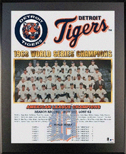 Buy 1968 Detroit Tigers World Series Champions 11 x 13 Plaque from Healy Pro by Healy Pro
