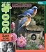 Buffalo Games Hautman 300 - Garden Bluebirds