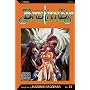 Bastard!!, Volume 13 (Bastard (Graphic Novels))
