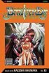 Bastard!!, Volume 13 (Bastard (Graphic Novels))