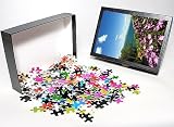 Photo Jigsaw Puzzle of Lake of Bolsena, view from Capodimonte, Viterbo, Lazio, Italy, Europe from Robert Harding