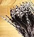 Creative Angler Saddle Hackle for Fly Tying/Tying Flies (Grizzly)