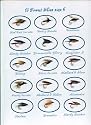 15 Trout Fishing Flies size 6 on Card N/R