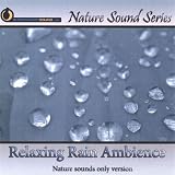 Relaxing Rain Ambience