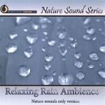 Relaxing Rain Ambience (Natural Sounds Only)