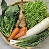 東北牧場 有機野菜6種 Pサイズセット