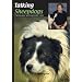 Talking Sheepdogs: Training Your Working Border Collie