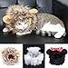 FAMI Pet Costume Mickey Wig with Ears, Christmas Costumes Festival Party Clothes Fancy Dress up for Dog Cat