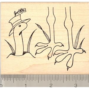 Robin's Worm