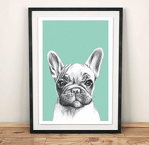 French Bulldog illustration in turquoise