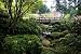 Japanese Garden - 48