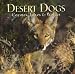 Desert Dogs: Coyotes, Foxes and Wolves