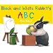 Jack's Favorite Alphabet Books