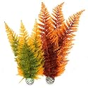 biOrb Autumn Fern Plants - 2 Pack