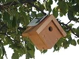 New Songbird Essentials Mini-Wren Solid Cedar Construction Cleanout & Sharp Looks