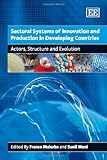 Sectoral systems of innovation and production in developing countries : actors, structure and evolution