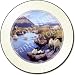 Kitchen & Housewares : BORDER COLLIE Watching SHEEP Tax Disc Holder