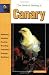 The Guide to Owning a Canary