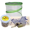 Live Butterfly Kit