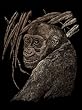 Copper Engraving Ape