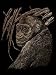 Copper Engraving Ape