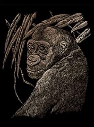 Copper Engraving Ape