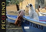 Pecorino -  Ein Hund geht auf Reisen 2011. Broschürenkalender