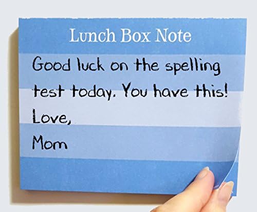 Lunch Box Note Pad Magnetic 2 pack 100 notes BLUE &amp; PINK Send Love with Lunch Fridge Magnethbox Fridge Magnet