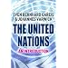 The United Nations: An Introduction