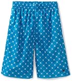 Hurley Boys 8-20 Icon Mesh Short