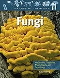 Fungi: Mushrooms, Toadstools, Molds, Yeasts, and Other Fungi (Class of Their Own (Paperback))