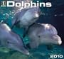 Dolphins - 2010 Wall Calendar (1 with Nature (Calendars))