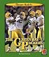 The Green Bay Packers (Team Spirit)