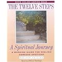 12 Steps (A Spiritual Journey) (Tools for Recovery) (Revised) (Paperback)