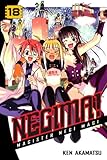 Negima!: Magister Negi Magi, Volume 18