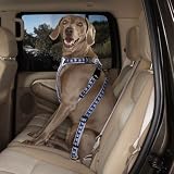 Dog Harness - Blue Paws Car Harness - Large